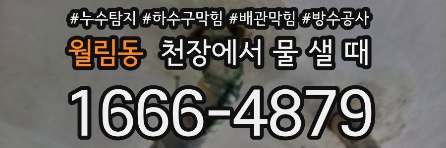 월림동 천장에서 물 샐 때