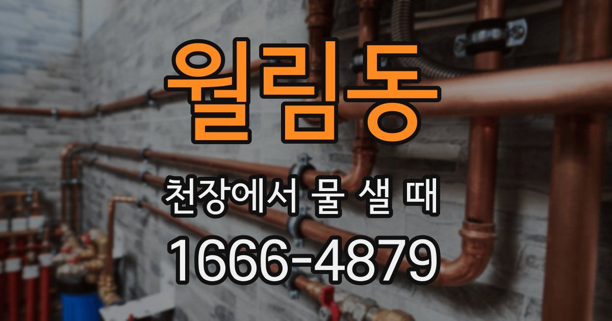 월림동 천장에서 물 샐 때