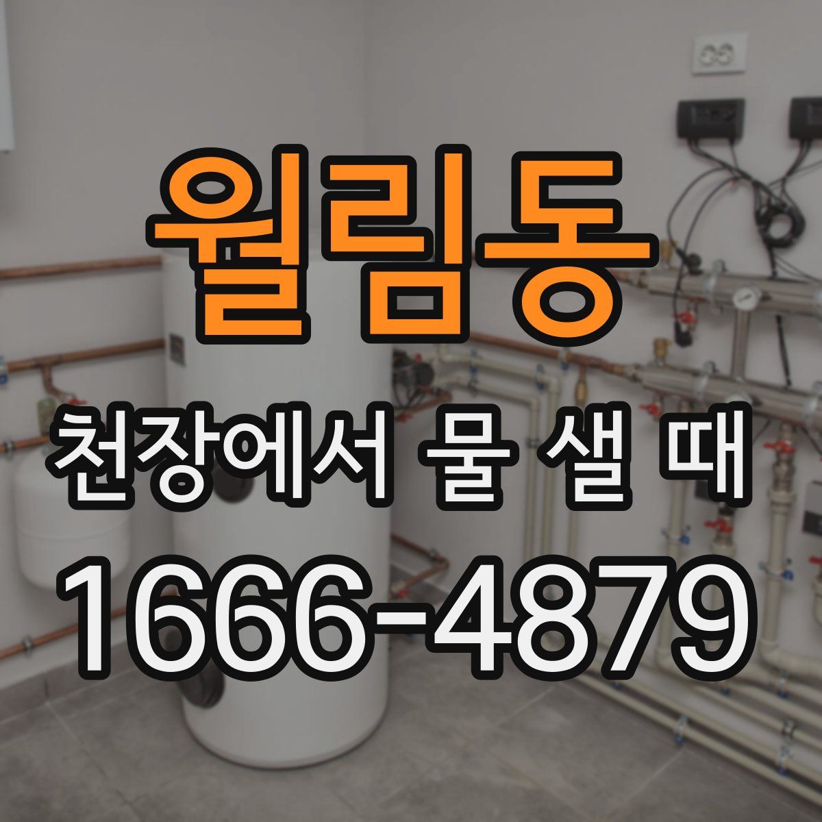 월림동 천장에서 물 샐 때