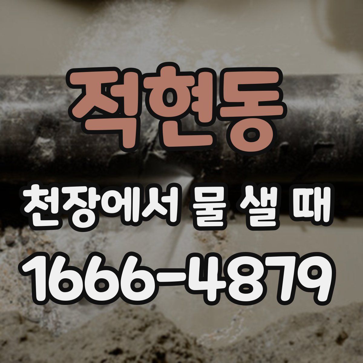 적현동 천장에서 물 샐 때
