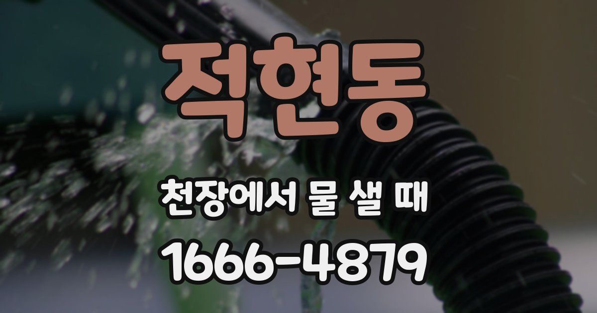 적현동 천장에서 물 샐 때