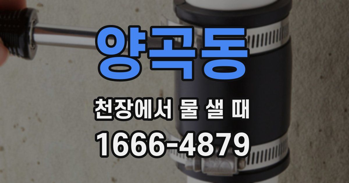양곡동 천장에서 물 샐 때