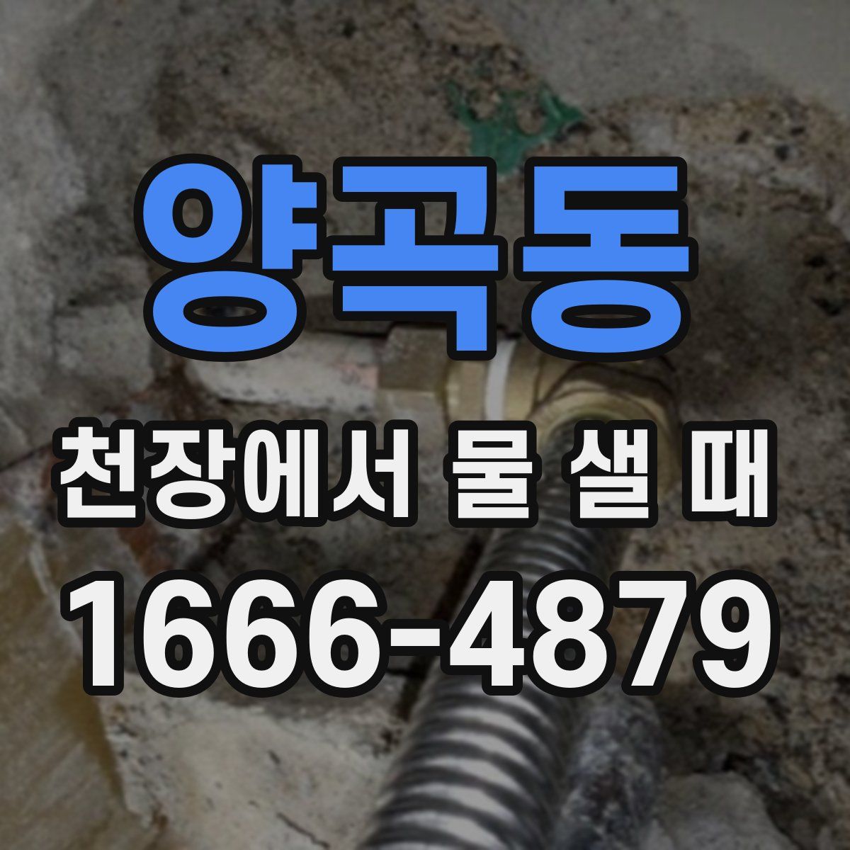 양곡동 천장에서 물 샐 때
