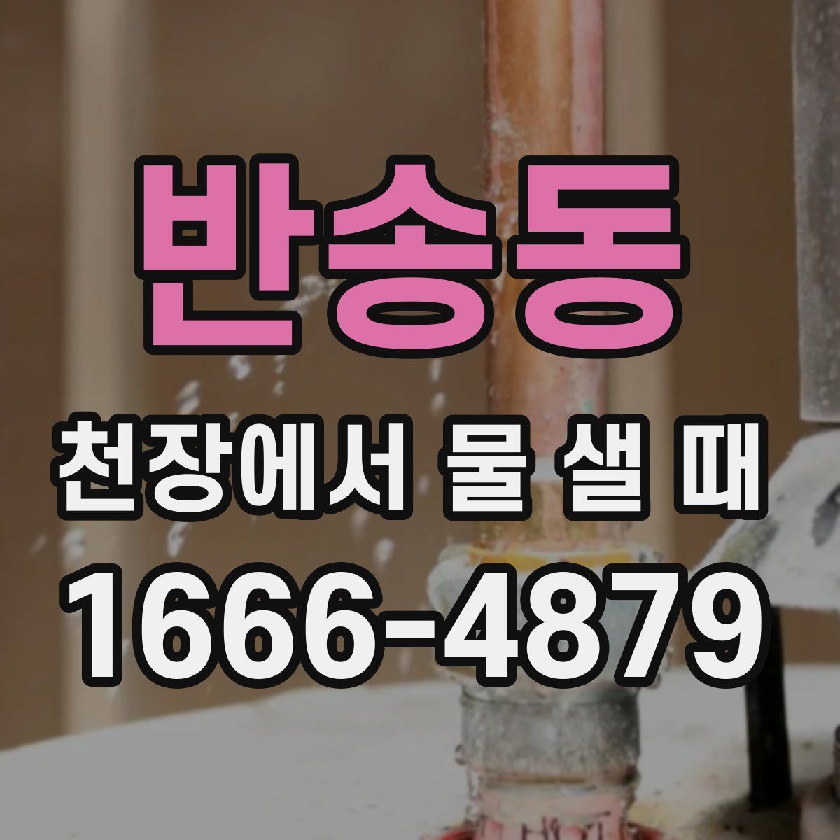 반송동 천장에서 물 샐 때