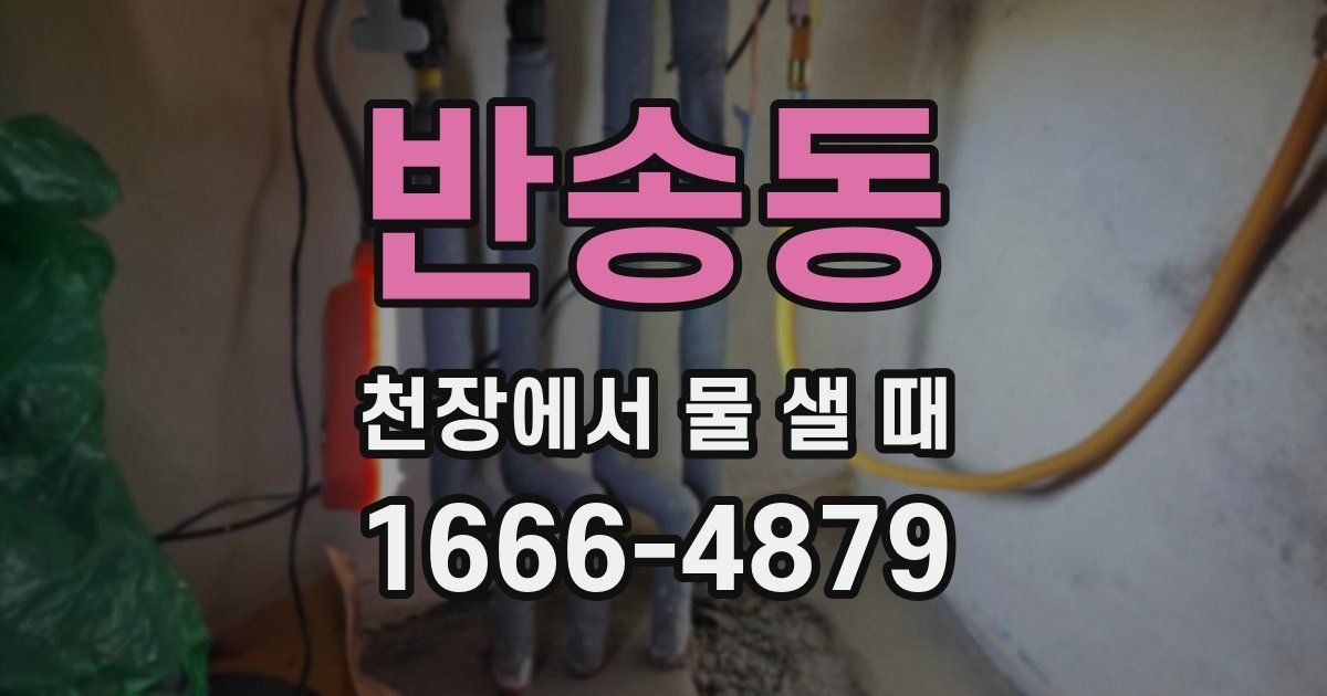 반송동 천장에서 물 샐 때