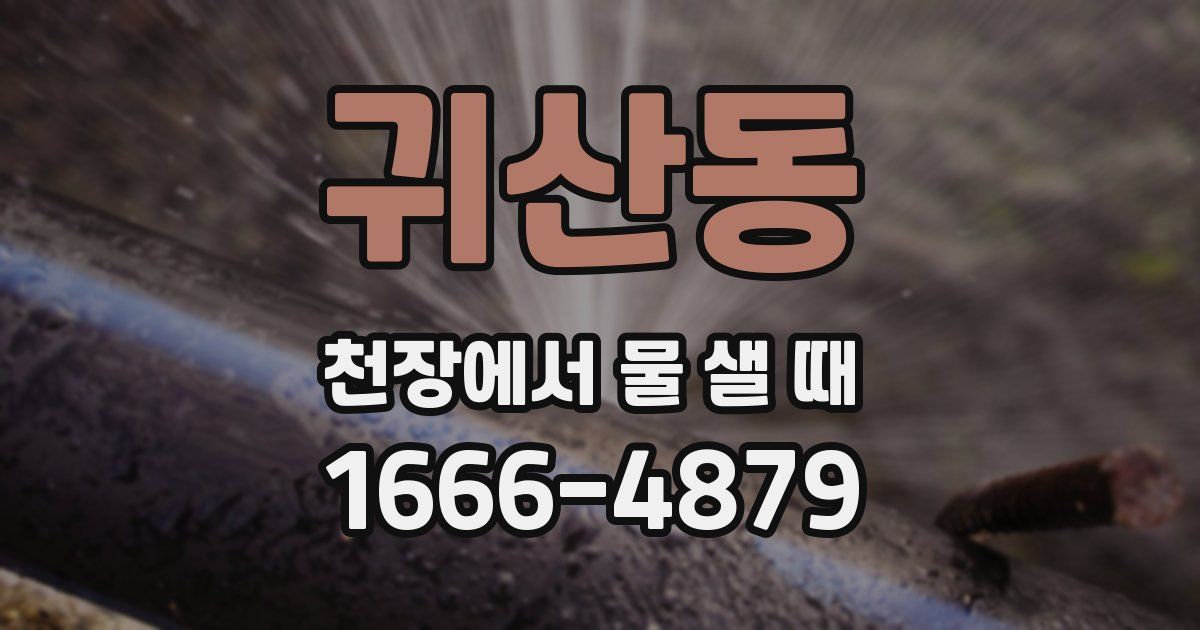 귀산동 천장에서 물 샐 때