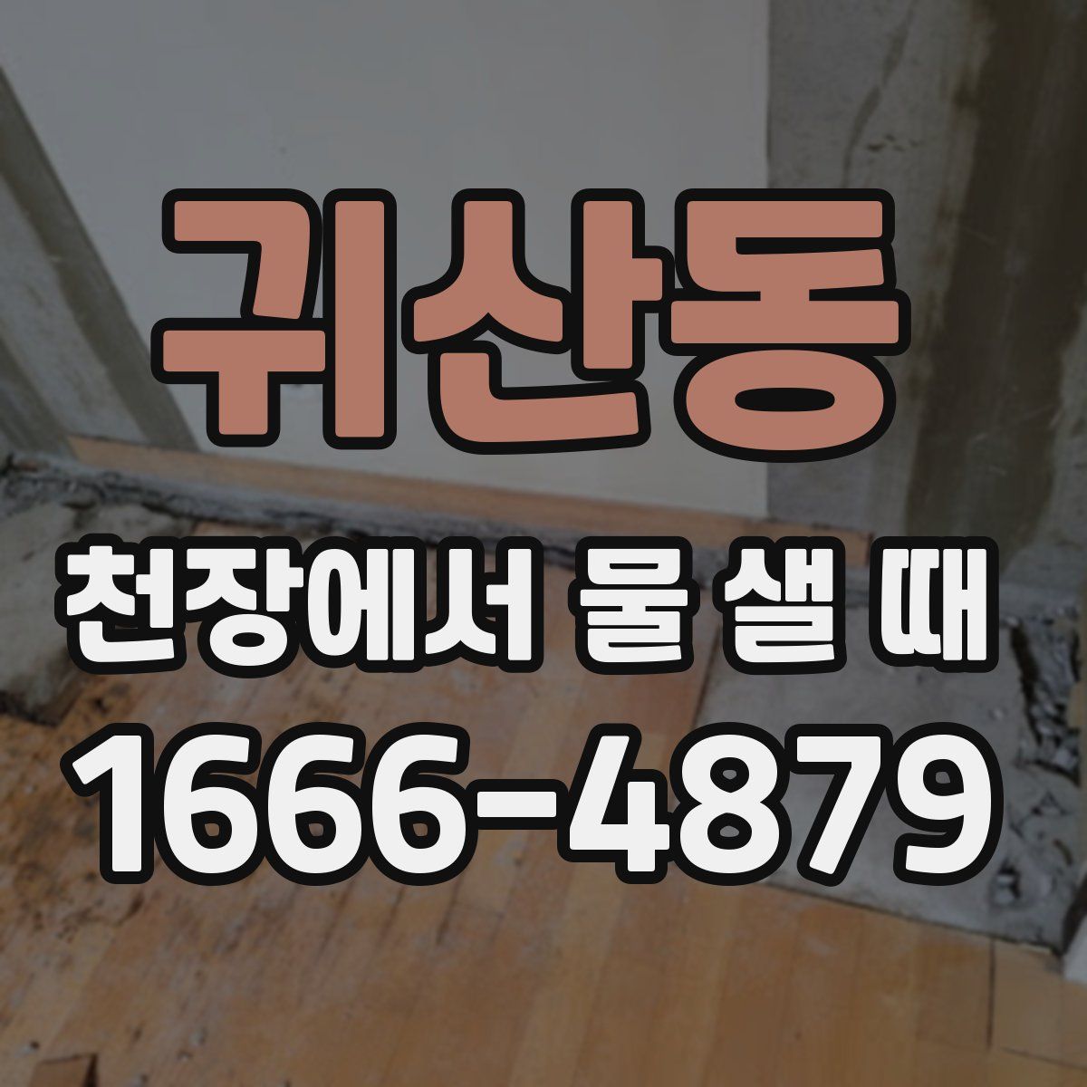귀산동 천장에서 물 샐 때