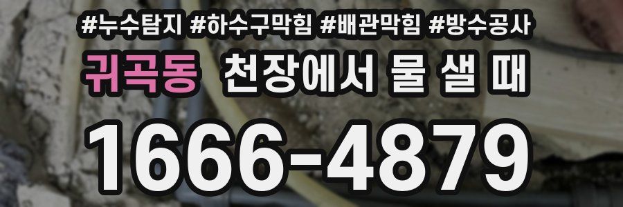 귀곡동 천장에서 물 샐 때