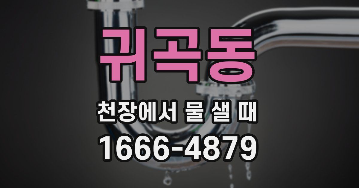 귀곡동 천장에서 물 샐 때