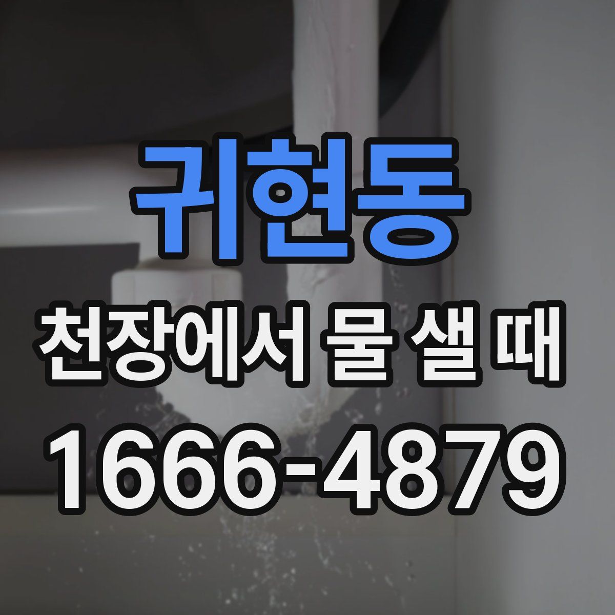 귀현동 천장에서 물 샐 때