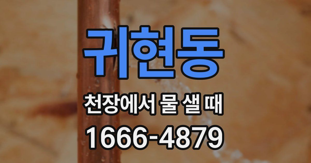 귀현동 천장에서 물 샐 때