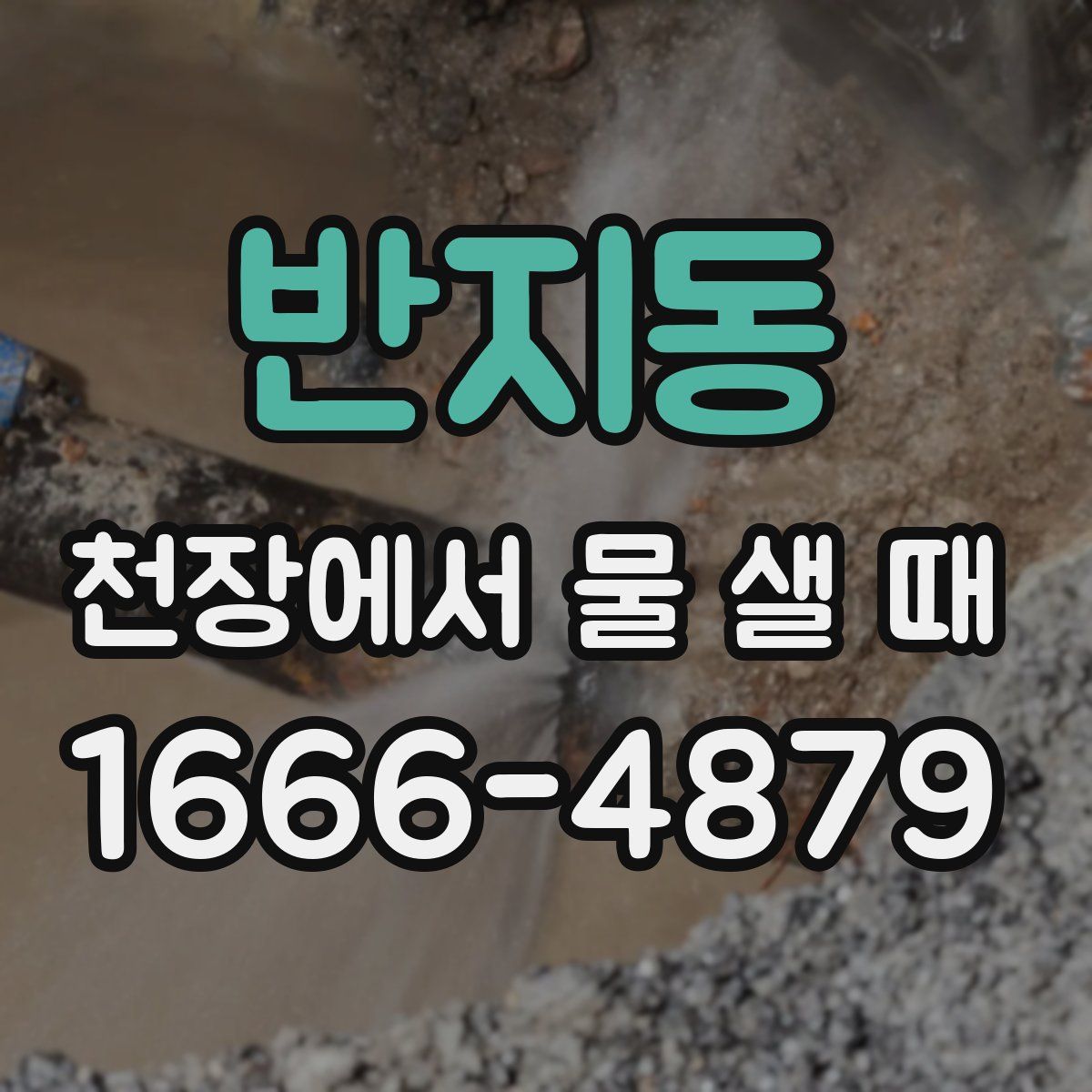 반지동 천장에서 물 샐 때