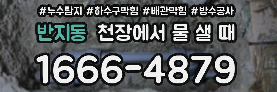 반지동 천장에서 물 샐 때