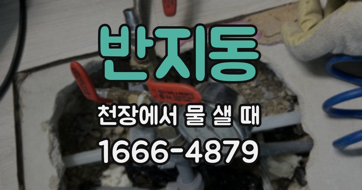 반지동 천장에서 물 샐 때
