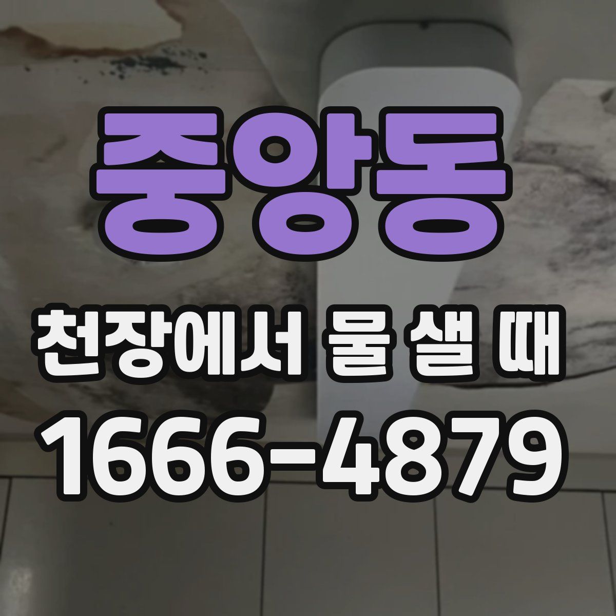 중앙동 천장에서 물 샐 때