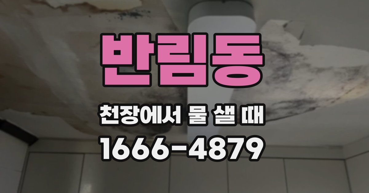 반림동 천장에서 물 샐 때