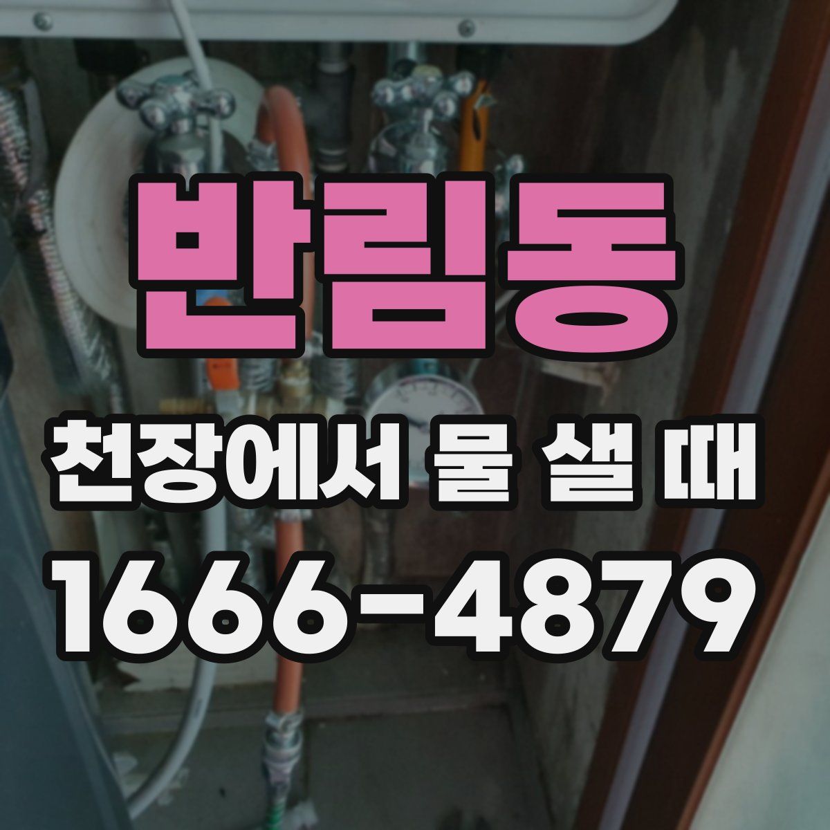 반림동 천장에서 물 샐 때