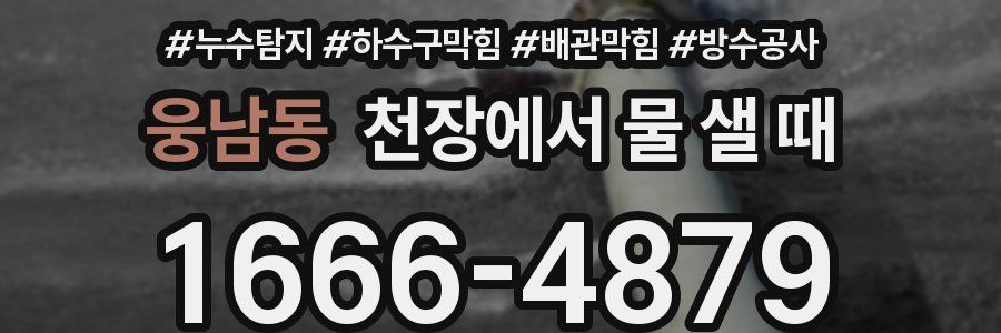 웅남동 천장에서 물 샐 때