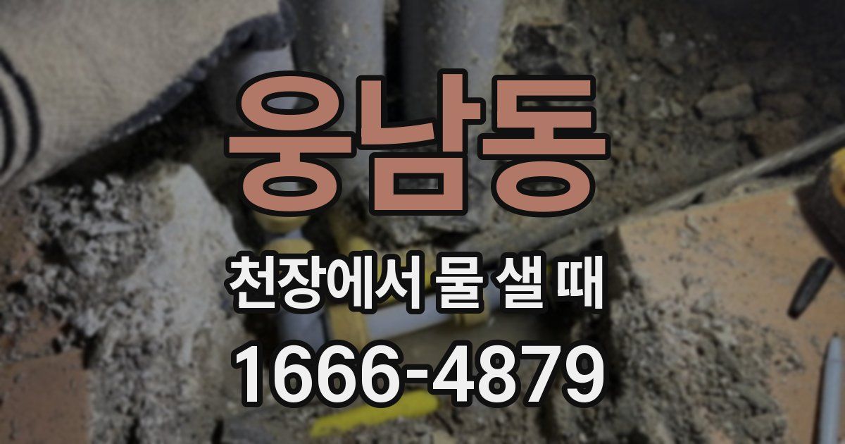 웅남동 천장에서 물 샐 때