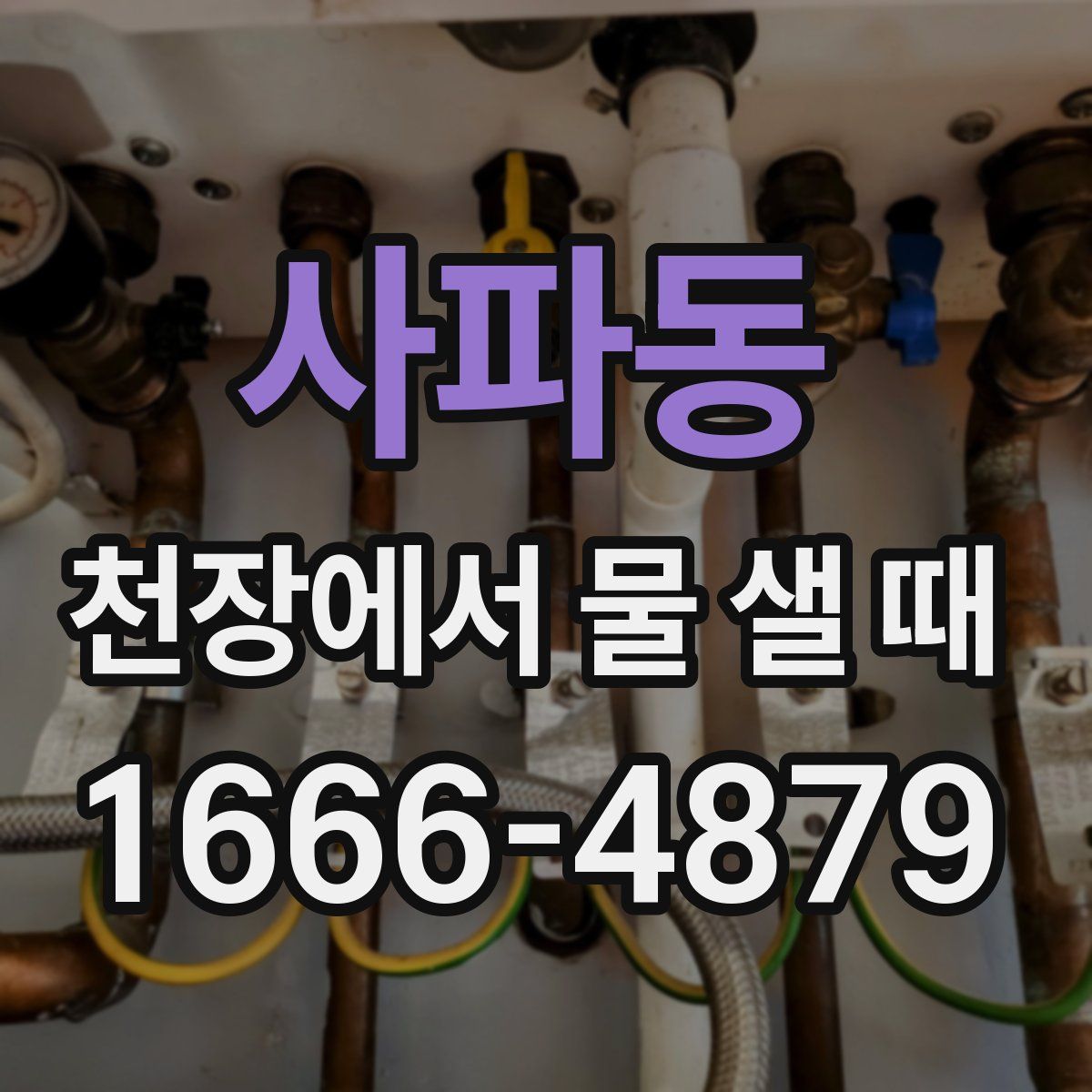 사파동 천장에서 물 샐 때