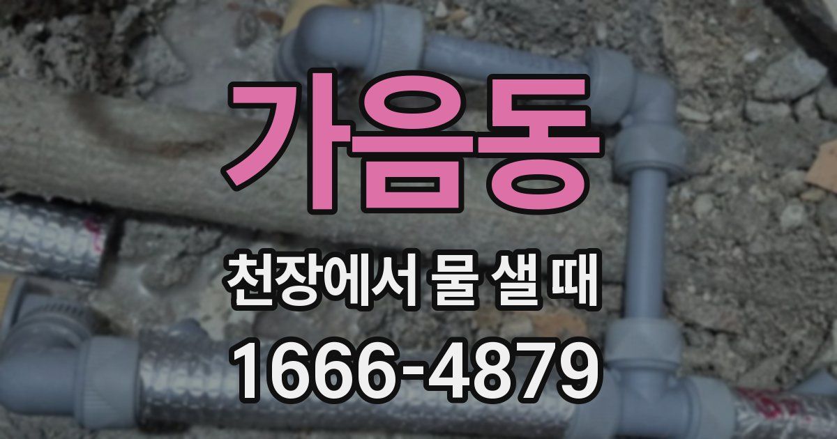 가음동 천장에서 물 샐 때