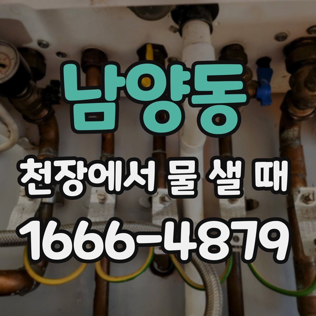 남양동 천장에서 물 샐 때