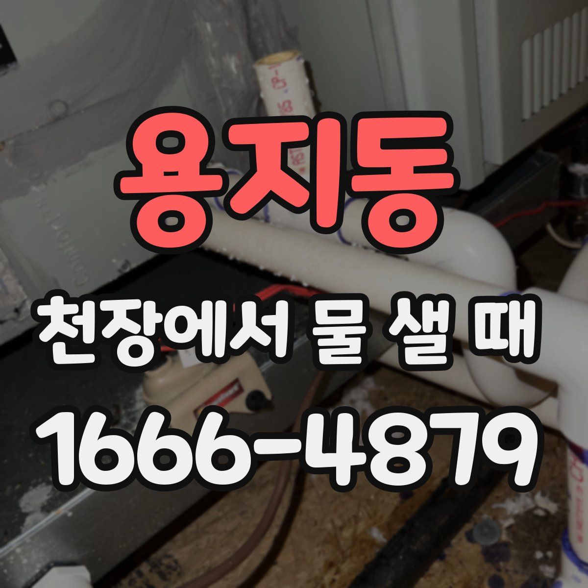 용지동 천장에서 물 샐 때