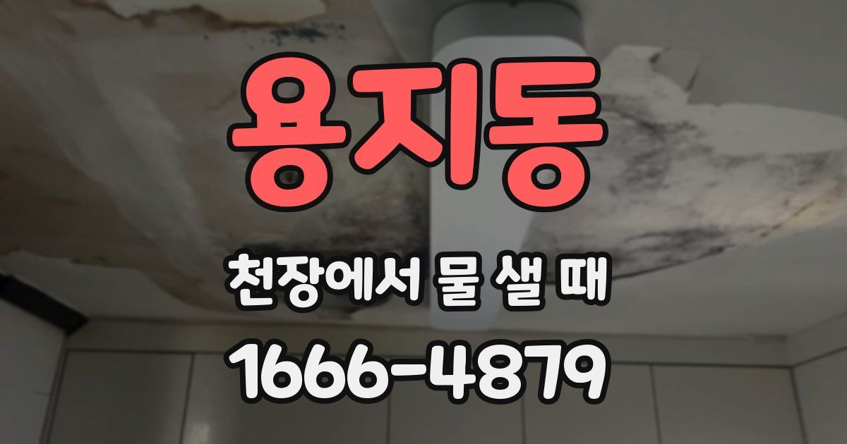 용지동 천장에서 물 샐 때