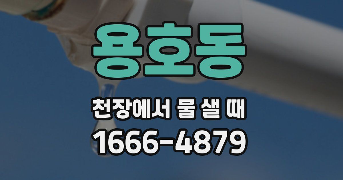 용호동 천장에서 물 샐 때