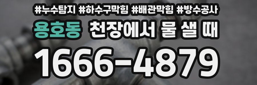 용호동 천장에서 물 샐 때