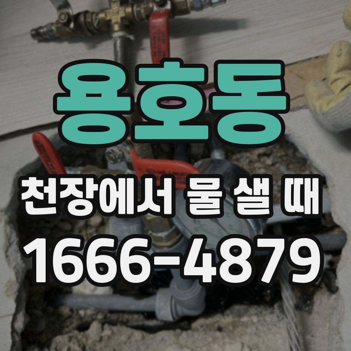 용호동 천장에서 물 샐 때