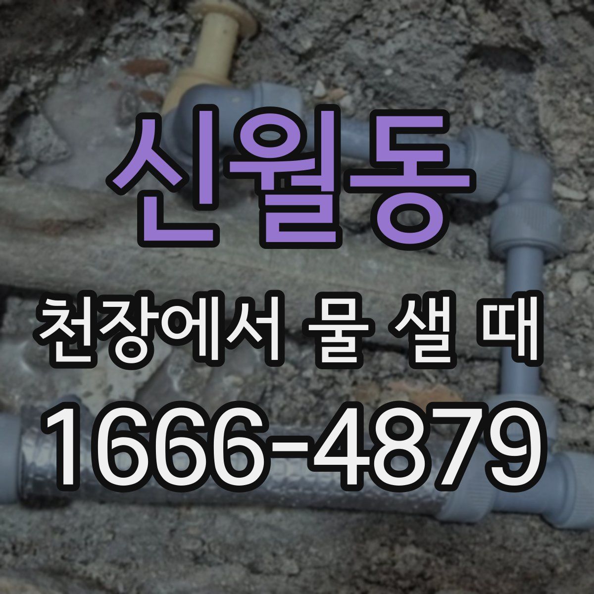 신월동 천장에서 물 샐 때