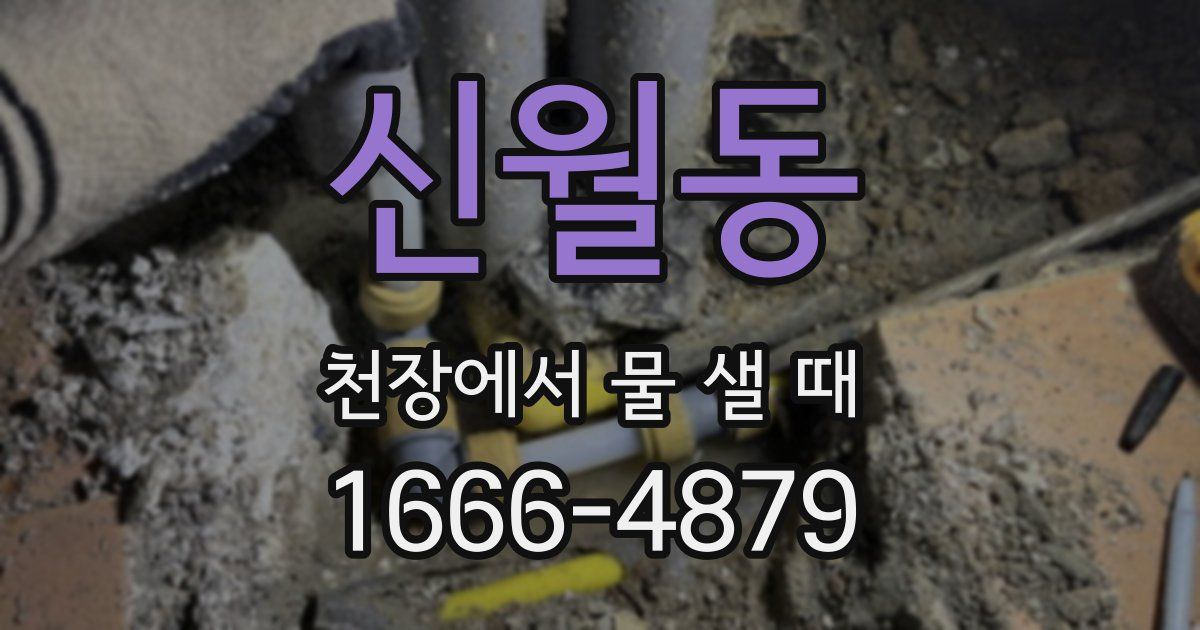 신월동 천장에서 물 샐 때