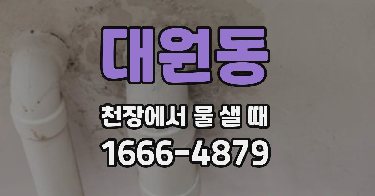 대원동 천장에서 물 샐 때