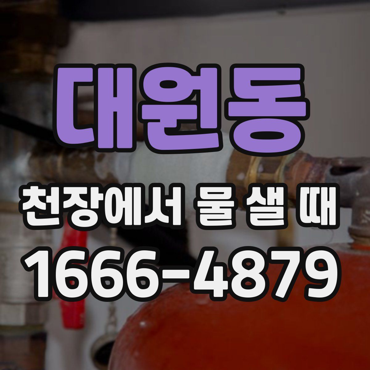 대원동 천장에서 물 샐 때