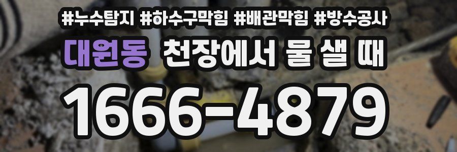 대원동 천장에서 물 샐 때