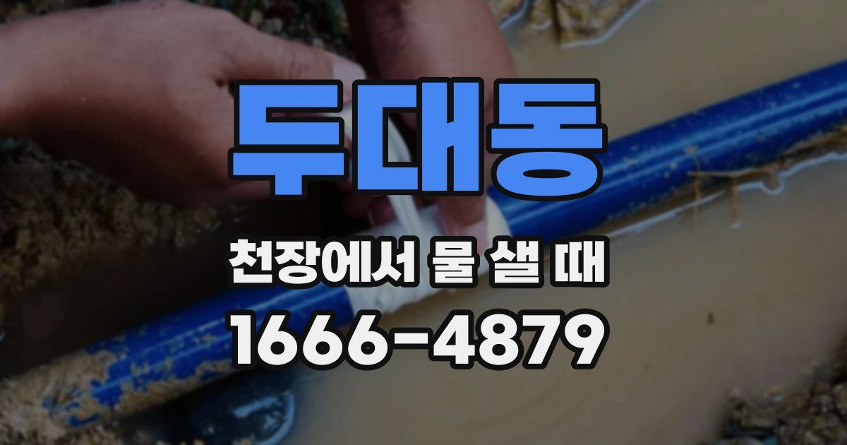 두대동 천장에서 물 샐 때