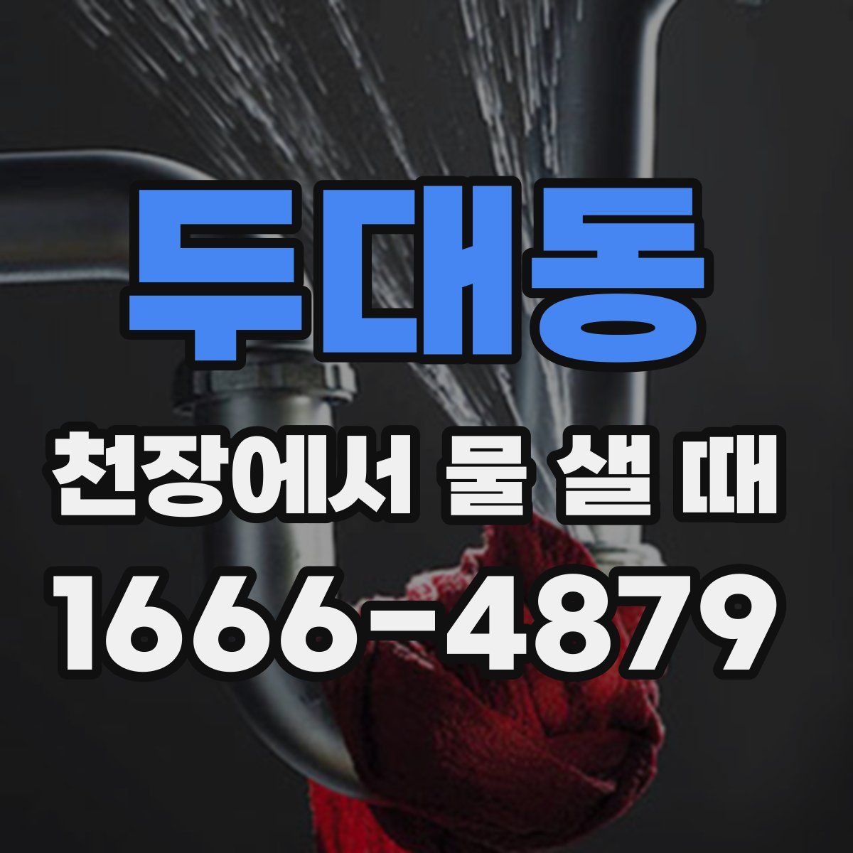 두대동 천장에서 물 샐 때