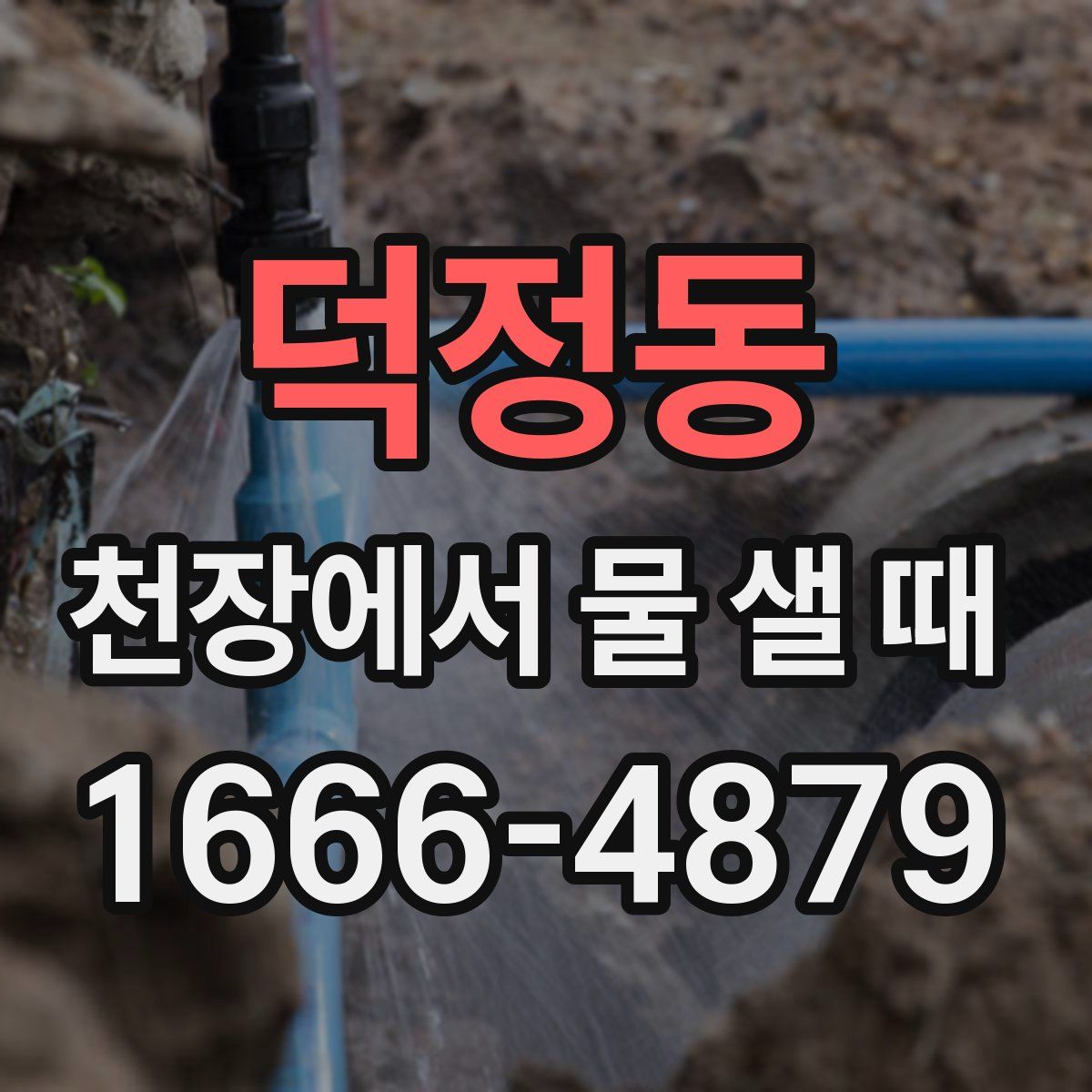 덕정동 천장에서 물 샐 때