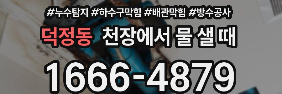 덕정동 천장에서 물 샐 때