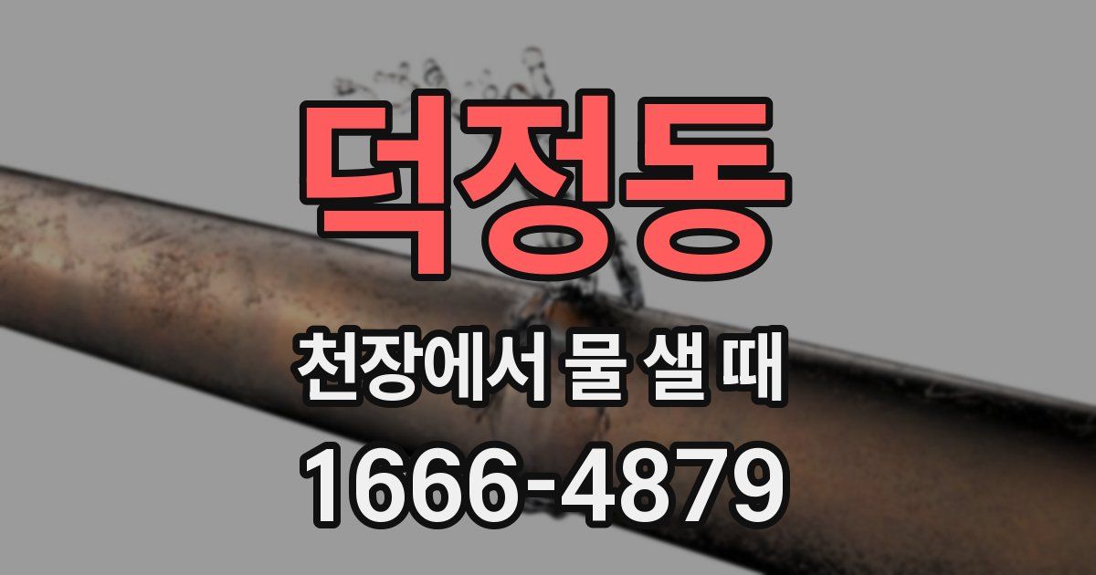 덕정동 천장에서 물 샐 때