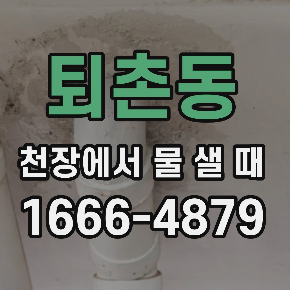 퇴촌동 천장에서 물 샐 때