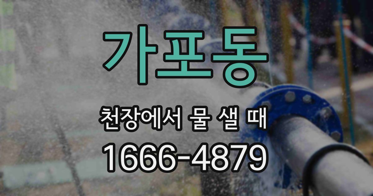가포동 천장에서 물 샐 때