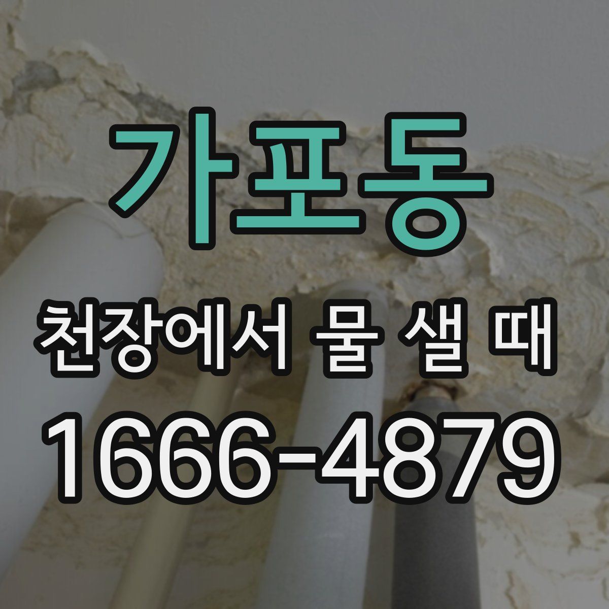 가포동 천장에서 물 샐 때