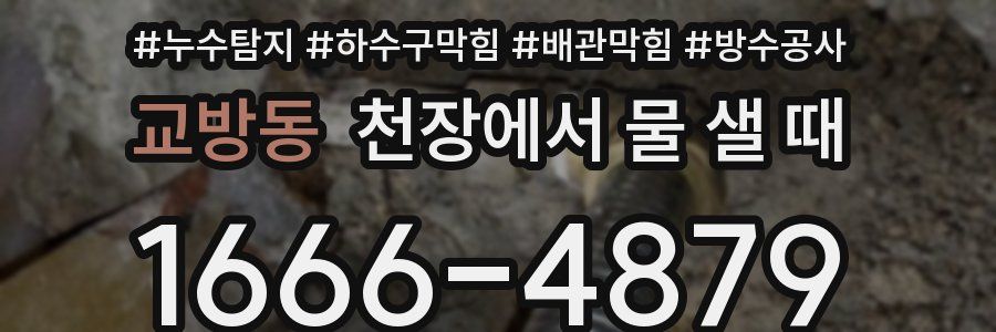 교방동 천장에서 물 샐 때