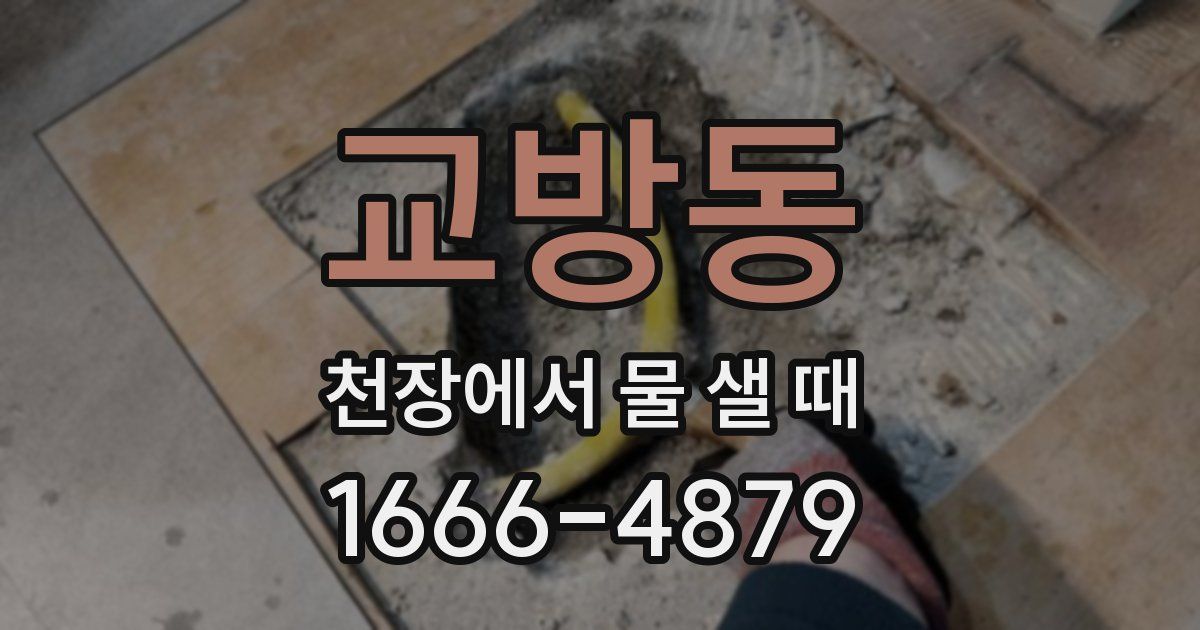 교방동 천장에서 물 샐 때