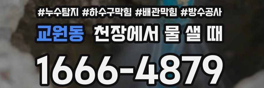 교원동 천장에서 물 샐 때