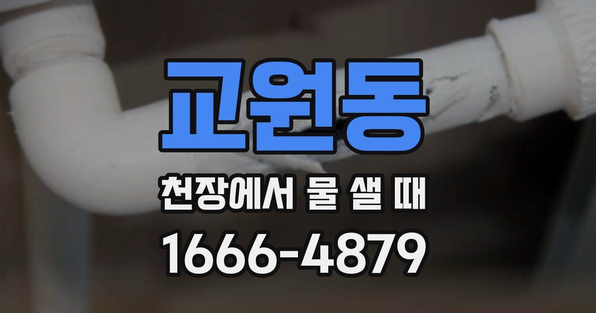 교원동 천장에서 물 샐 때