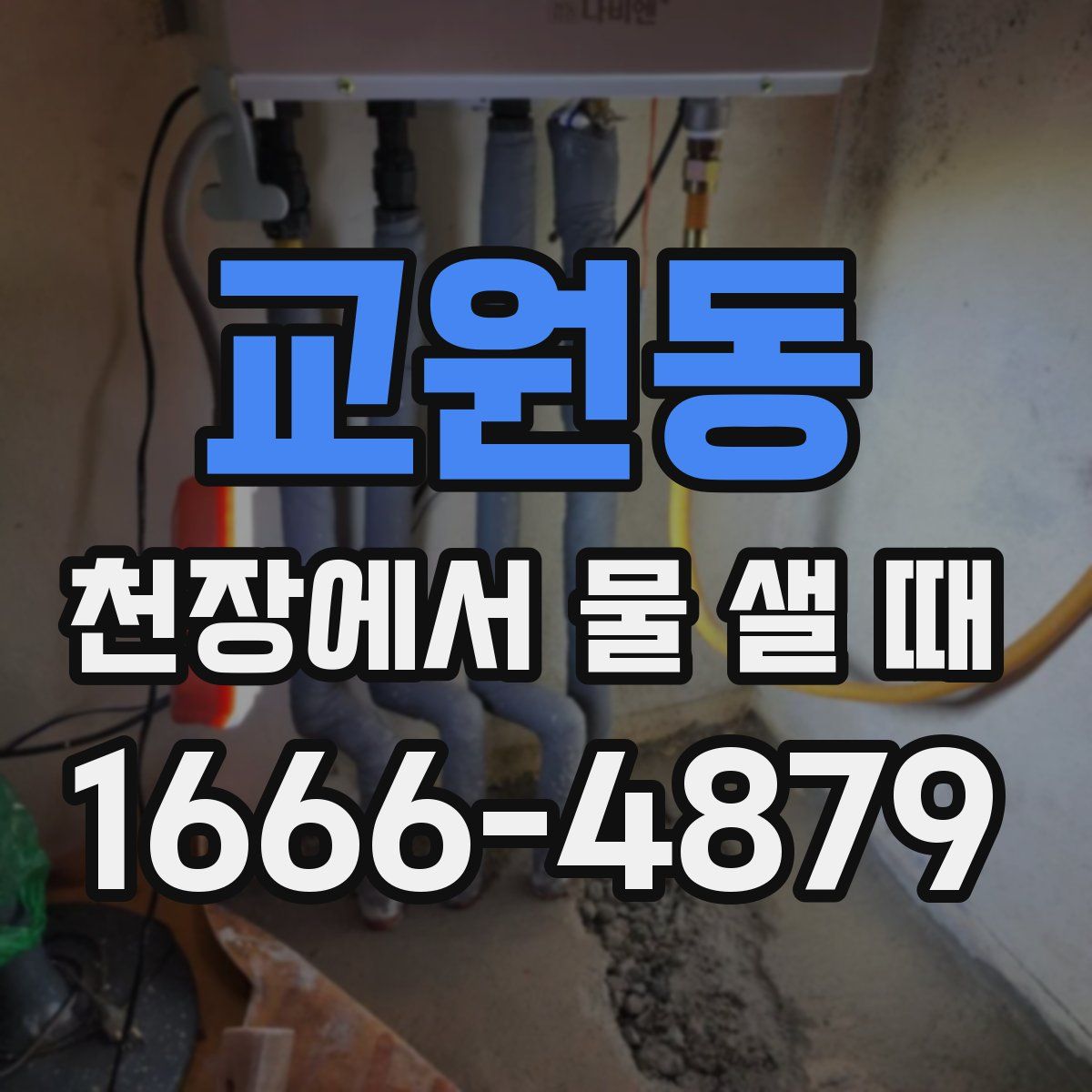 교원동 천장에서 물 샐 때