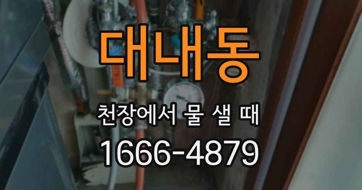 대내동 천장에서 물 샐 때